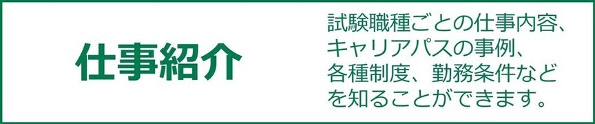 仕事紹介ページへリンク