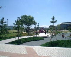 沼館緑地公園