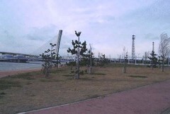 ポートアイランド緑地