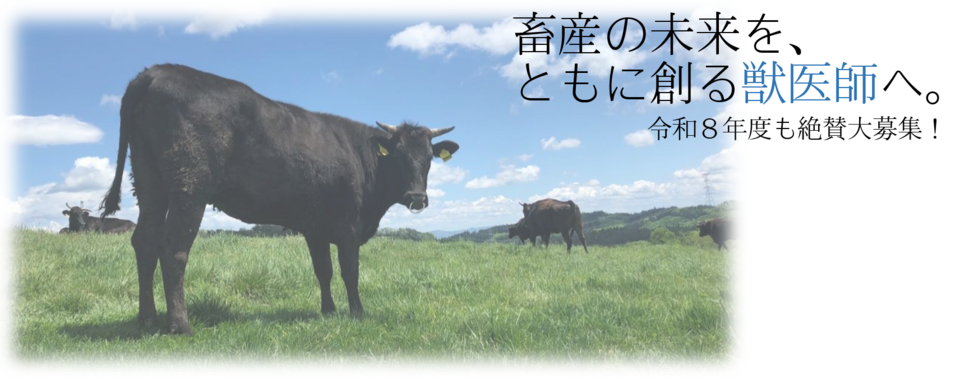 畜産の未来を、ともに創る獣医師へ。
