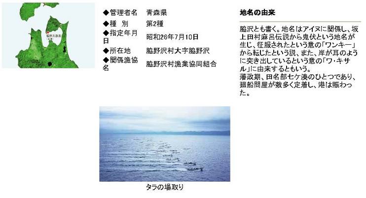 脇野沢漁港　本港　地域水産物供給基盤整備事業（特定）説明