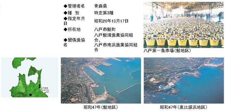 八戸漁港　鮫・恵比須浜地区　広域漁港整備事業(特定)説明