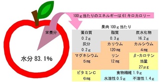 図：りんごの成分
