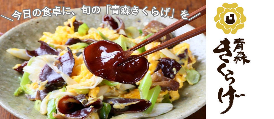 青森きくらげPR