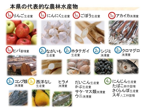 本県の代表的な農林水産物の一覧画像