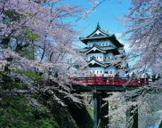 写真：桜が咲き誇る弘前城