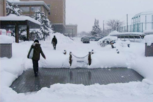 弘前大学敷地内融雪実験