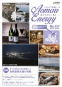 AE137表紙