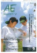 AENo.91