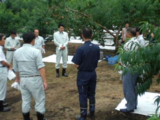 写真：農林水産委員会調査