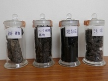 廃棄物サンプルの展示