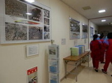 パネル展示（廊下）