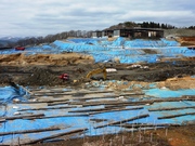 春の不法投棄現場