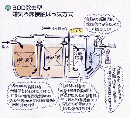 BOD除去型嫌気ろ床接触ばっ気方式浄化槽