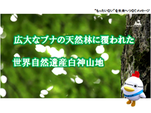メッセージ２