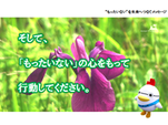 メッセージ11