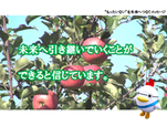 メッセージ15
