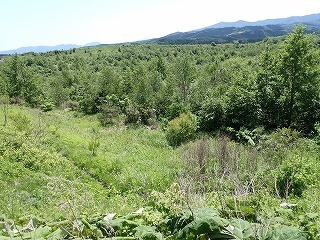 R0706130001