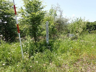 R0706130002