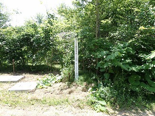 R0706130004