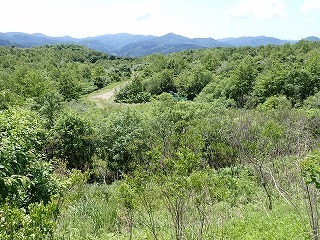 R0706130006
