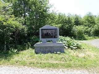 R0706130010