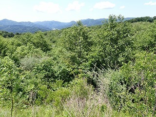 R0706130011