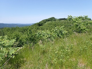 R0706130012
