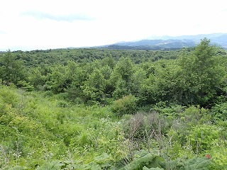 R0707020001
