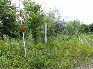 R0707020002