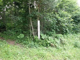 R0707020003