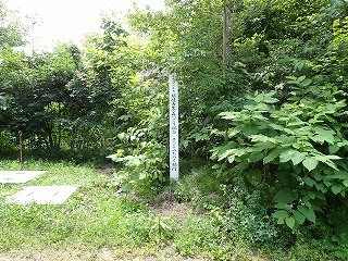 R0707020004