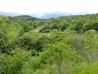 R0707020006