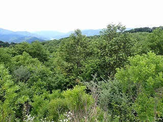 R0707020011