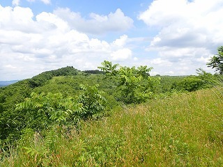 R0707020012
