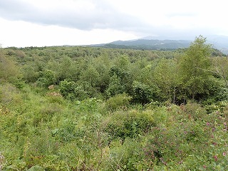 R0708260001
