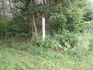 R0708260003