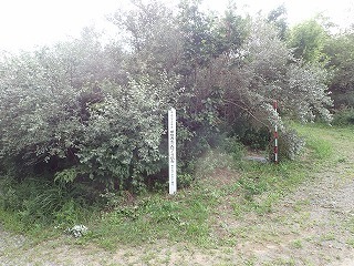 R0708260007