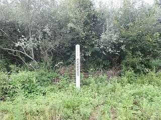 R0708260009