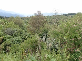 R0708260011