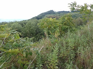 R0708260012
