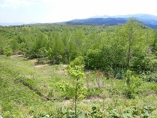R08051300001