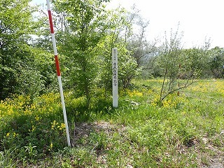 R0805130002