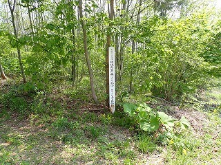 R0805130003