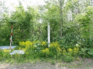 R0805130004