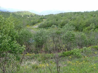 R08051300006