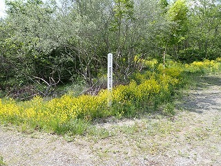 R08051300007