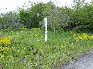 R0805130008