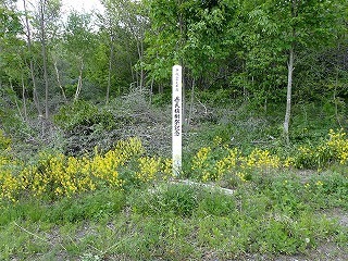 R08051300009
