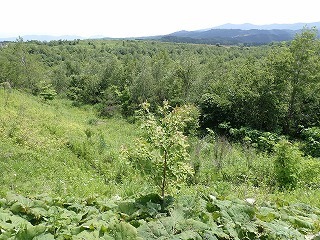 R08061800001